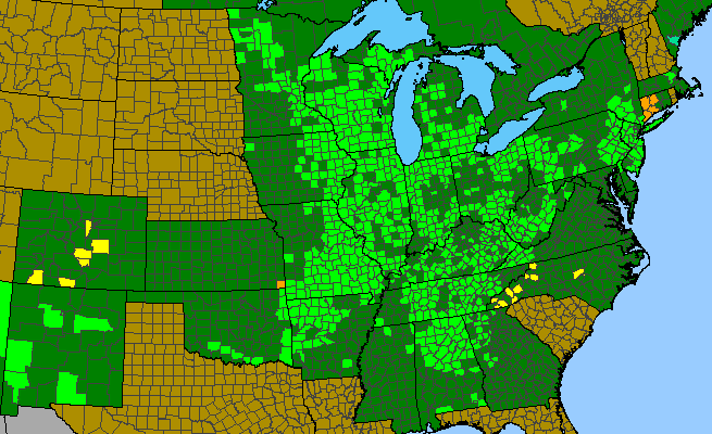The range of Krigia biflora